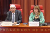 Balcells, durante su intervención ante la Comisión de Sanidad del Parlamento catalán.