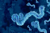 bundibugyo-ebola-virus-strain-ebolavirus-Depositphotos_887505670_XL