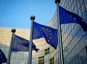eu-flags-in-front-of-Depositphotos_32783947_XL