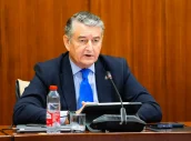 Antonio Sanz, durante su intervención en la comisión de Sanidad, del Parlamento de Andalucía.