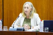 La consejera, durante su intervención en el Parlamento andaluz.