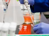 laboratorio-muestras-2