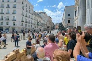 Miembros de la entidad posan con las cajas de firmas recogidas ante la puerta del Congreso de los Diputados.