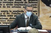 Jesús Díez Manglano, presidente de la Semi, durante su intervención en el Senado.