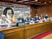 senado